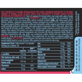 Mega Fat Burner (90caps)